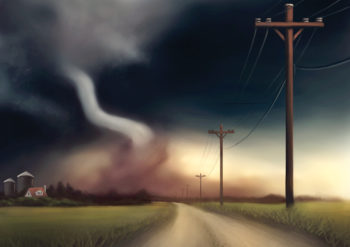 A Summer Afternoon - Mtt Wood